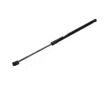 Pneumatická prużina, Batożinový/nákladný priestor JAPANPARTS ZS04069