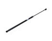 Pneumatická prużina, Batożinový/nákladný priestor JAPANPARTS ZS05059