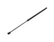 Pneumatická prużina, Batożinový/nákladný priestor JAPANPARTS ZS05059