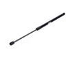 Pneumatická prużina, Batożinový/nákladný priestor JAPANPARTS ZS06111