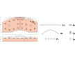 Sada brzdových destiček, kotoučová brzda TRW GDB5104