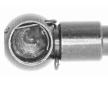 Pneumaticka pruzina, zavazadlovy / nakladovy prostor VAICO V22-0124