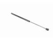 Pneumaticka pruzina, zavazadlovy / nakladovy prostor VAICO V24-0203