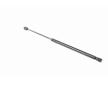 Pneumaticka pruzina, zavazadlovy / nakladovy prostor VAICO V24-0203