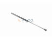 Pneumaticka pruzina, zavazadlovy / nakladovy prostor VAICO V24-0277