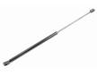 Pneumaticka pruzina, zavazadlovy / nakladovy prostor VAICO V25-0411