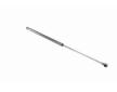 Pneumaticka pruzina, zavazadlovy / nakladovy prostor VAICO V40-0591