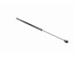 Pneumaticka pruzina, zavazadlovy / nakladovy prostor VAICO V40-0592