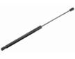 Pneumaticka pruzina, zavazadlovy / nakladovy prostor VAICO V40-0625