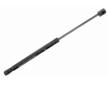 Pneumaticka pruzina, zavazadlovy / nakladovy prostor VAICO V42-0248