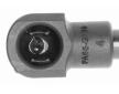 Pneumaticka pruzina, zavazadlovy / nakladovy prostor VAICO V42-0250