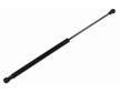Pneumaticka pruzina, zavazadlovy / nakladovy prostor VAICO V42-0251