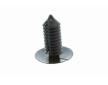 Klips VAICO V42-0267
