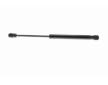 Pneumaticka pruzina, kapota motoru VAICO V45-0097