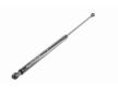Pneumaticka pruzina, zavazadlovy / nakladovy prostor VAICO V46-0402