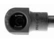 Pneumaticka pruzina, zavazadlovy / nakladovy prostor VAICO V46-0402