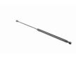 Pneumaticka pruzina, zavazadlovy / nakladovy prostor VAICO V46-0402