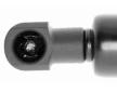 Pneumaticka pruzina, zavazadlovy / nakladovy prostor VAICO V46-0669