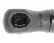 Pneumaticka pruzina, zavazadlovy / nakladovy prostor VAICO V48-0117
