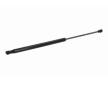 Pneumaticka pruzina, zavazadlovy / nakladovy prostor VAICO V48-0319