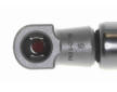Pneumaticka pruzina, zavazadlovy / nakladovy prostor VAICO V48-0319