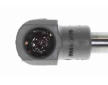 Pneumaticka pruzina, zavazadlovy / nakladovy prostor VAICO V48-0319