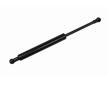 Pneumaticka pruzina, zavazadlovy / nakladovy prostor VAICO V50-0024