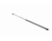 Pneumaticka pruzina, zavazadlovy / nakladovy prostor VAICO V50-0041