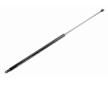 Pneumaticka pruzina, zavazadlovy / nakladovy prostor VAICO V50-0046