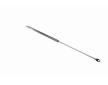 Pneumaticka pruzina, zavazadlovy / nakladovy prostor VAICO V50-0046