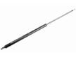 Pneumaticka pruzina, zavazadlovy / nakladovy prostor VAICO V50-0054