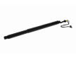 Elektromotor, zadná kapota VEMO V10-55-0010