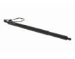 Elektromotor, zadná kapota VEMO V10-55-0018