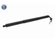Elektromotor, zadná kapota VEMO V10-55-0033