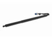 Elektromotor, zadná kapota VEMO V30-55-0007