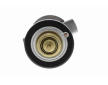 Termostat, chladivo VEMO V30-99-0201