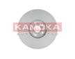 Brzdový kotouč KAMOKA 1031020