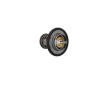 Termostat, chladivo KAMOKA 7710049