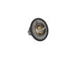 Termostat, chladivo KAMOKA 7710055