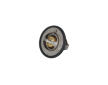 Termostat, chladivo KAMOKA 7710055