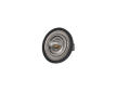 Termostat, chladivo KAMOKA 7710057