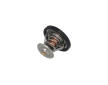 Termostat, chladivo KAMOKA 7710069