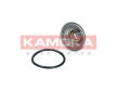 Termostat chladenia KAMOKA 7710095