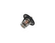 Termostat chladenia KAMOKA 7710103