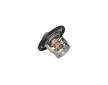 Termostat, chladivo KAMOKA 7710138
