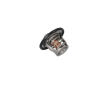 Termostat, chladivo KAMOKA 7710139