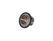 Termostat chladenia KAMOKA 7710141