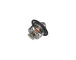 Termostat chladenia KAMOKA 7710156