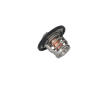 Termostat, chladivo KAMOKA 7710235