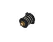 Termostat, chladivo KAMOKA 7710236